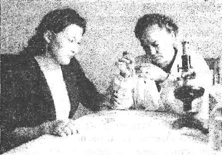 Е.М. Осадец, С.Ф. Дементьева (1949)