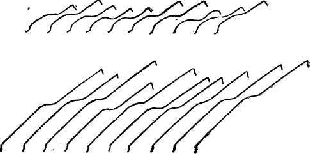 Различные  варианты кривых,  полученных  при разрыве   человеческих   волос   (взяты   с   затылка)