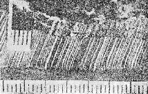 следы от экспериментального соскоба лезвием топора по вазелиново-восковой композиции
