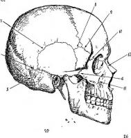  Отдельные методики описания повреждений костей скелета